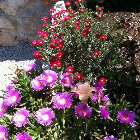 Apartman D&D Veyra Apartment Vis