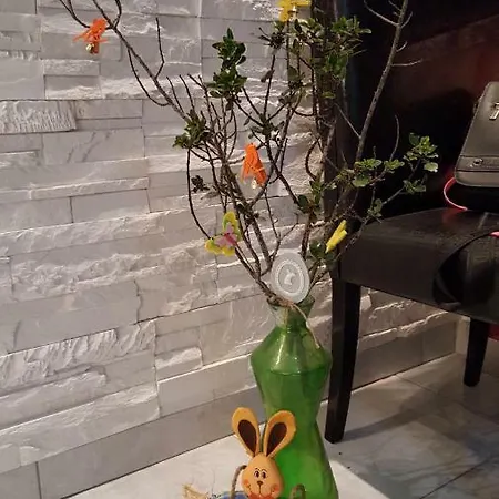 D&d Veyra Appartement Vis